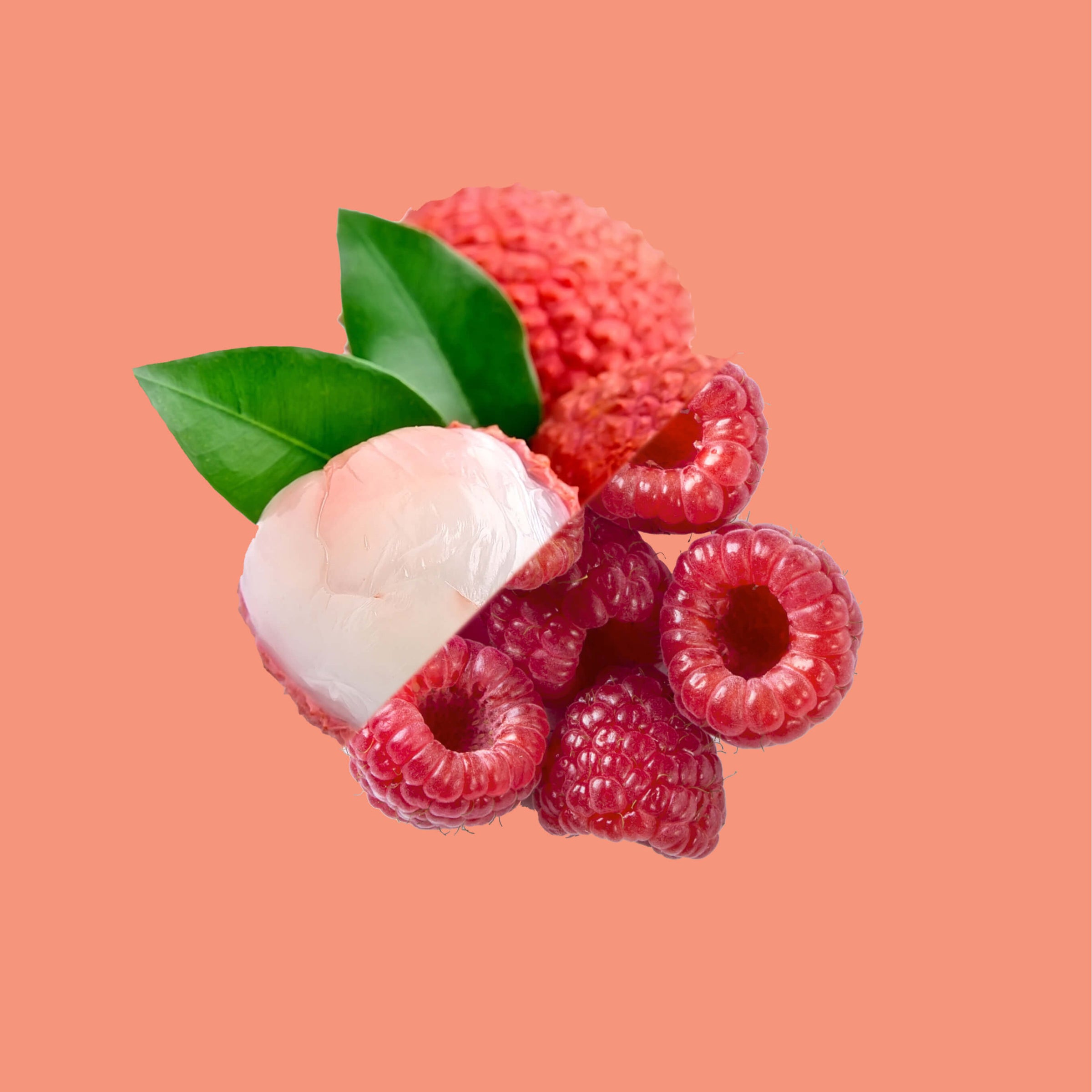 Yoghurt Raspberry Lychee Macaron | LuxBite